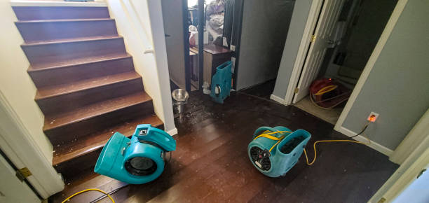 Best Ceiling water damage repair  in Lisbon, IA