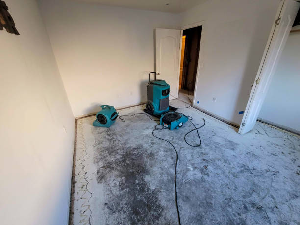 Best 24/7 water damage repair  in Lisbon, IA