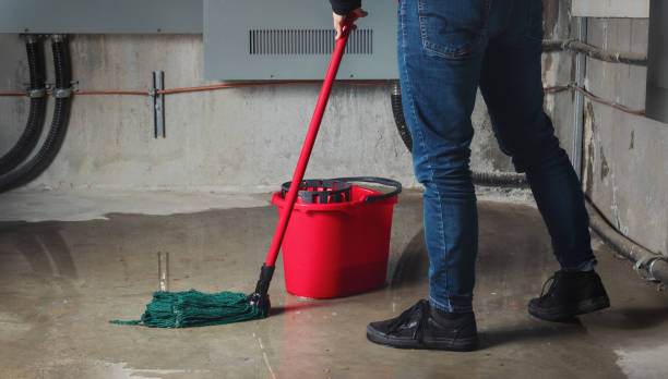Best Water damage restoration near me  in Lisbon, IA